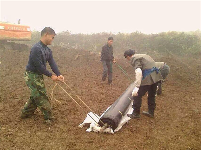土工布-內蒙古農田案例