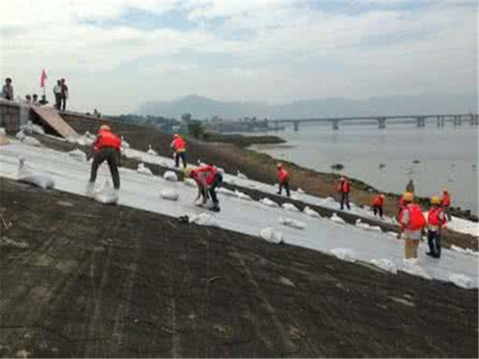 河道護坡短絲土工布